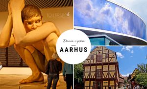 Zwiedzania Aarhus - Dania z psem