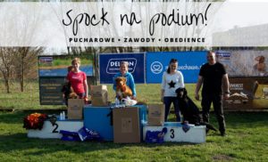 Zawody obedience we Wrocławiu 2017