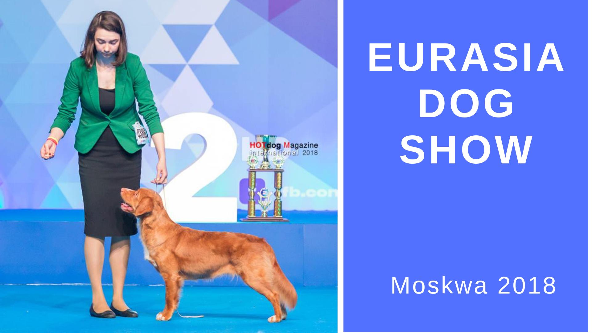Toller on Eurasia Dog Show