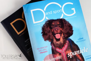 O pracy, zawodach i testach dla retrieverów w magazynie "Dog and Sport"