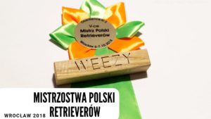 Mistrzostwa Polski Obedience Retrieverów