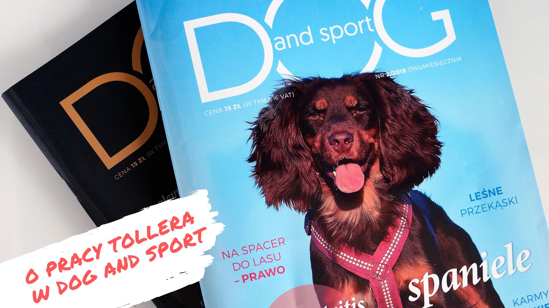 Opis Tollerów w Dog and Sport