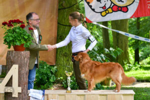 Huntingdogs dog show winner