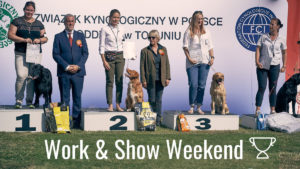 Work & Show retriever Weekend 2019