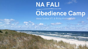 Obóz obedience NA FALI Obedience Camp 2019