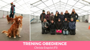 Trening obedience z Christa Enqvist.