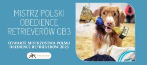 Pies rasy Nova Scotia Duck Tolling Retriever trzyma w pysku puchar Mistrza Polski Obedience Retrieverów w klasie 3 z 2023 roku