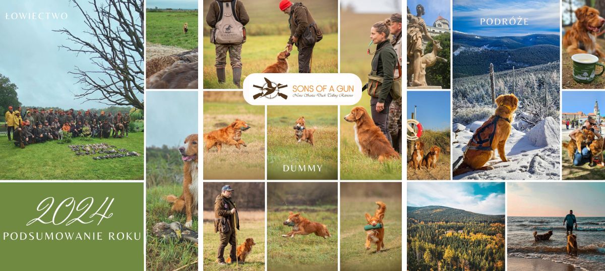 Podsumowanie 2024 roku ekipy Sons of a gun Nova Scotia Duck Tolling Retriever - dummy, polowanie z Tollerem, podróże