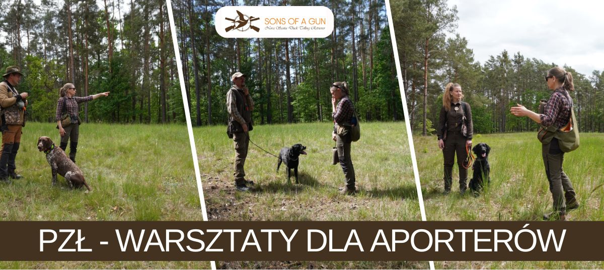 Psy podczas warsztatów dla aporterów zorganizowanych przez PZŁ ZO Gorzów Wlkp.